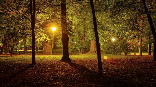 Odpowiednie oświetlenie do parku – kluczowe informacje