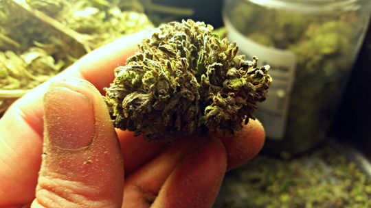 ODPOWIEDZĄ ZA POSIADANIE NARKOTYKÓW