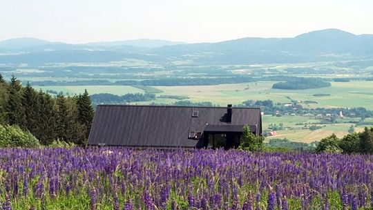 ODRADZAJĄCE SIĘ WSIE? NOWE PROCESY SPOŁECZNO-GOSPODARCZE NA ZIEMI KŁODZKIEJ