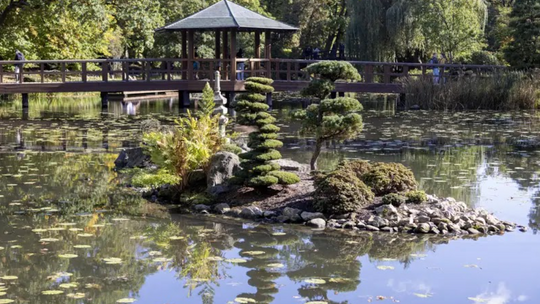 Ogród Japoński Wrocław – oaza spokoju i egzotyki