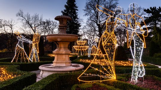 OGRODY ŚWIATŁA W ZAMKU KSIĄŻ I W PALMIARNI