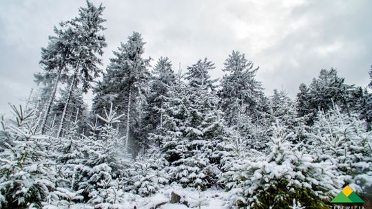 OPADY ŚNIEGU - OSTRZEŻENIE IMGW