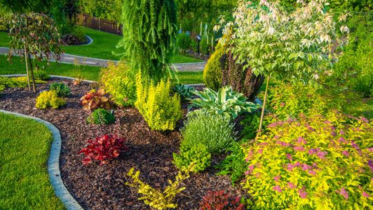 PIĘKNO KWIATÓW I ZIELENI WOKÓŁ NAS