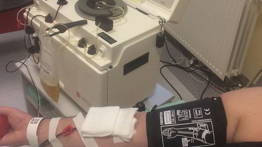 PIERWSI POLICJANCI Z POWIATU DZIERŻONIOWSKIEGO ODDALI OSOCZE