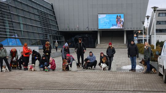 Pierwszy Spacer na Cztery Łapy za nami! 14 psów – 14 kilogramów karmy dla schroniska