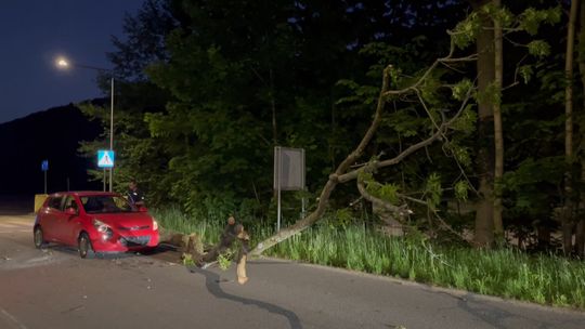 Pieszyce. Na jadące auto spadło drzewo Pieszyce. Na jadące auto spadło drzewo