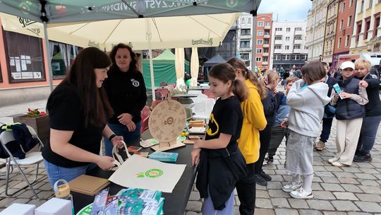 Piknik ekologiczny na Rynku w Świdnicy