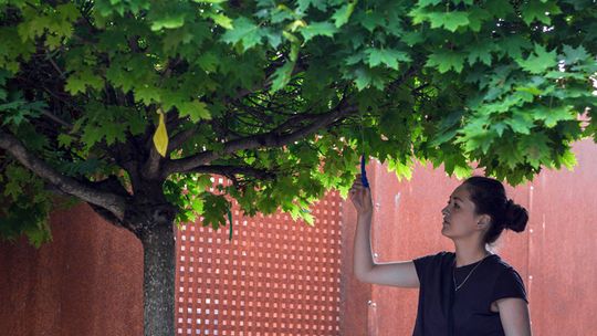 POLSKO-UKRAIŃSKI PROJEKT MigrARTion W KRZYŻOWEJ