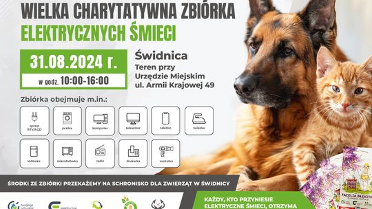 Pomaganie przez oddawanie. Wielka charytatywna zbiórka elektrośmieci dla schroniska w Świdnicy