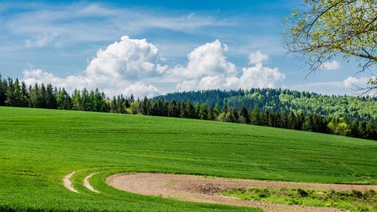 PONAD 19 MLN ZŁ SAMORZĄD WOJEWÓDZTWA PRZEZNACZYŁ NA DROGI ROLNE