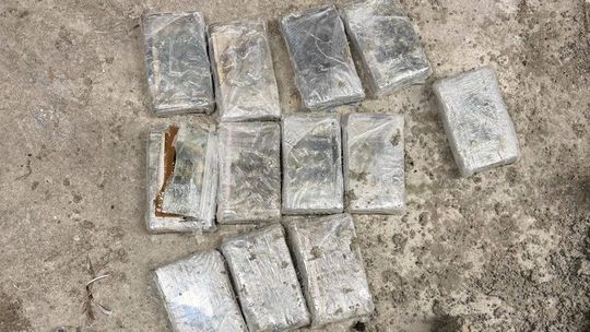 Ponad 42 kg kokainy ukryte w betonowych donicach – wspólna akcja funkcjonariuszy z KMP we Wrocławiu i CBŚP