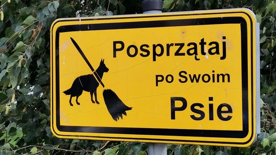 POSPRZĄTAJ PO SWOIM PSIE!
