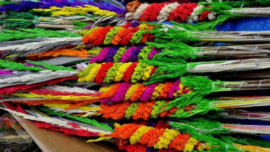 POWIAT DZIERŻONIOWSKI ODWOŁUJE PLANOWANE WYDARZENIA