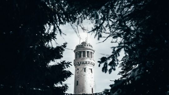 POWIATOWE LOVE – ROZSTRZYGNIĘCIE KONKURSU FOTOGRAFICZNEGO