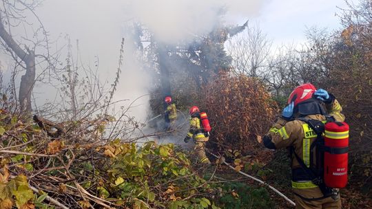 Pożar altanki na ROD "Relaks" w Dzierżoniowie