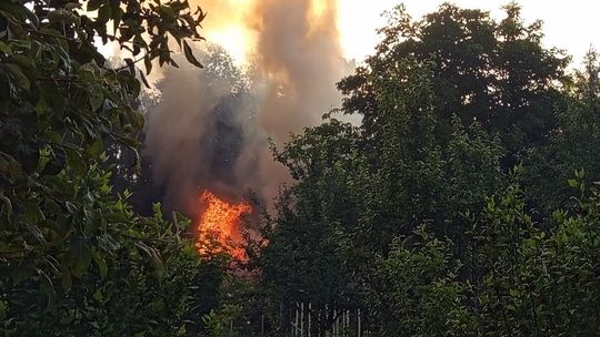Pożar  altanki w Bielawie