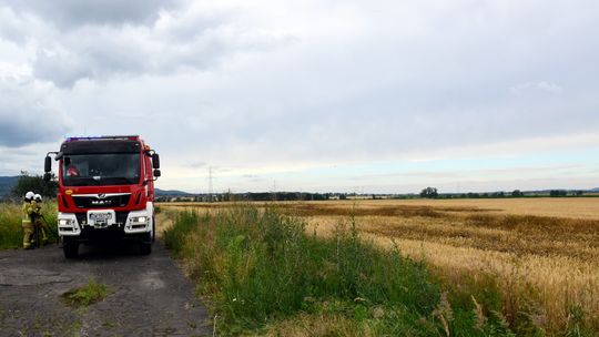 Pożar zboża na pniu w Bielawie