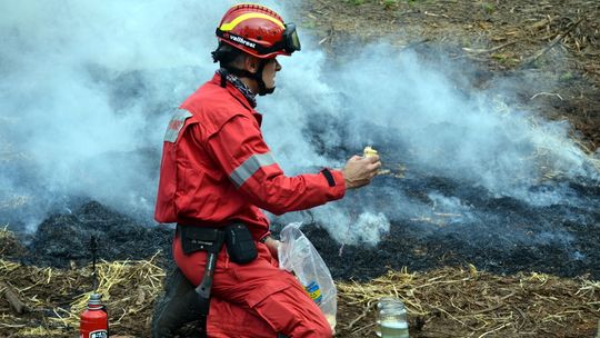 Pożary w lasach, strażackie ćwiczenia w powiecie dzierżoniowskim