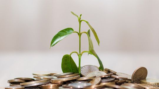 Pożyczki dla zadłużonych z komornikiem - co powinieneś wiedzieć?