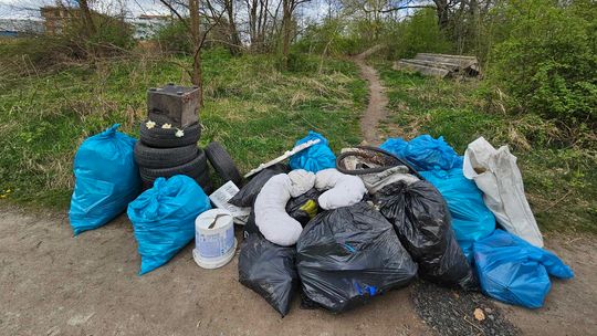 Prace społecznie użyteczne na terenie Świdnicy