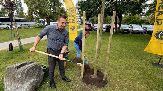 Projekt ,,Drzewa dla Odry’’