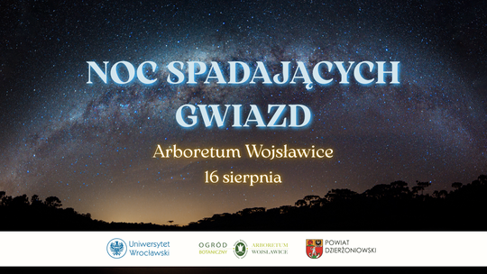 Przed nami Noc Spadających Gwiazd