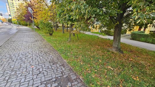 Przy ul. Marcinkowskiego powstanie 47 nowych miejsc parkingowych. Od 4 sierpnia ruszają prace