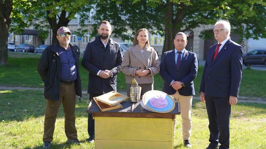 Pszczoły pod ochroną regionu. Kolejne wsparcie dla pszczelarzy