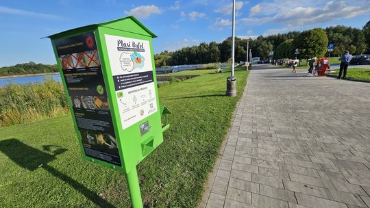 Ptasi Bufet w Świdnicy – mądre dokarmianie ptaków