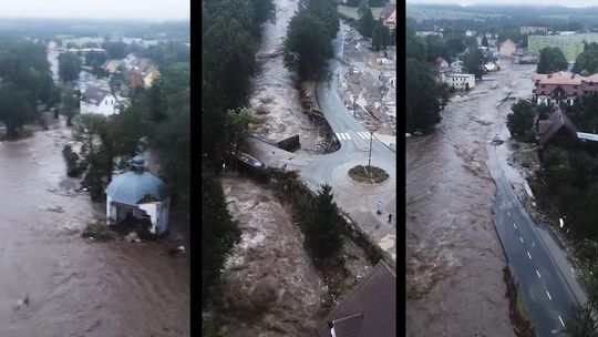 Rok po powodzi – odbudowa infrastruktury leśnej po wrześniu 2024