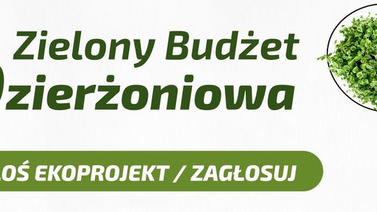 Rozkręcamy Zielony Budżet Dzierżoniowa 2026