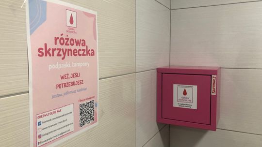 Różowa Skrzyneczka w Zespole Szkół Cechu Rzemiosł Różnych w Bielawie