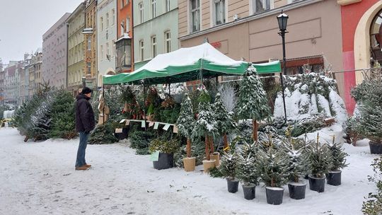 Rozpoczynają się zapisy na Świdnicki Jarmark Bożonarodzeniowy