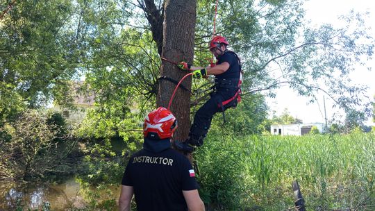 Roztocznik. IV Warsztaty Ratownicze RESCUECUT 2026