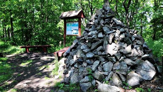 ŚCIEŻKA EDUKACYJNO – PRZYRODNICZA WZGÓRZA KIEŁCZYŃSKIE