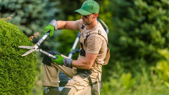 Sekatory ogrodowe – sprawdź, jak wybrać najlepszy model!