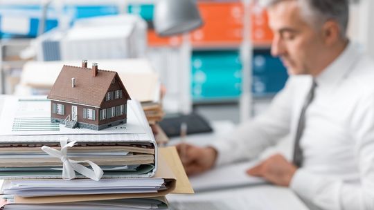 Siedlisko – jaki to rodzaj nieruchomości