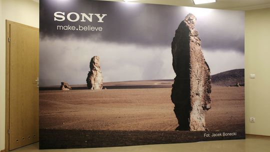 Skuteczna promocja marki — poznaj sekret ścianek, wykładzin oraz stojaków