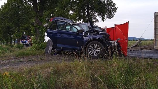 Śmiertelny wypadek na wysokości Nowizny. Droga całkowicie zablokowana!