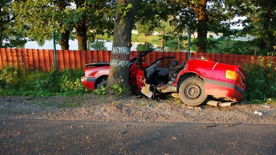 ŚMIERTELNY WYPADEK POD DZIERŻONIOWEM