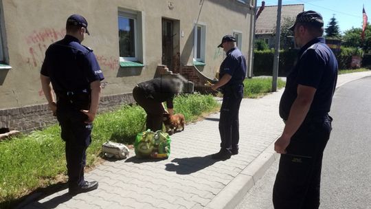 STOP BEZPAŃSKIM PSOM. DZIAŁANIA DZIELNICOWYCH NA TERENIE DZIERŻONIOWA