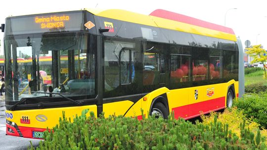 Świdnica rozszerza uprawnienia do bezpłatnych przejazdów komunikacją miejską