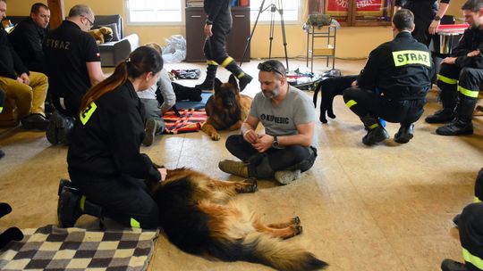 Szkolenia strażaków z udzielania pierwszej pomocy psom