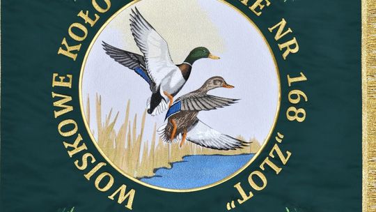 Sztandary interaktywne – innowacyjne rozwiązania