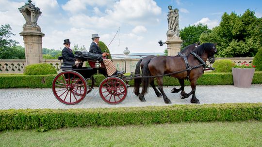 TAJEMNICE I ZNACZENIE RZEŹB Z ZAMKU KSIĄŻ