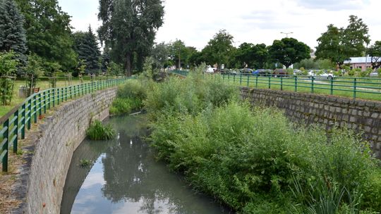 Udrożnienie potoku „Pieszyckiego”, potku „Brzęczek” i oczyszczenie koryta „Piławy” na ponad kilometrowym odcinku