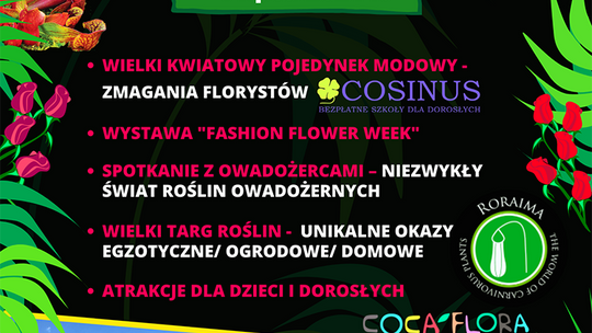 VI FESTIWAL KWIATÓW W MINIEUROLANDZIE, CZYLI EGZOTYKA NA WYCIĄGNIĘCIE RĘKI