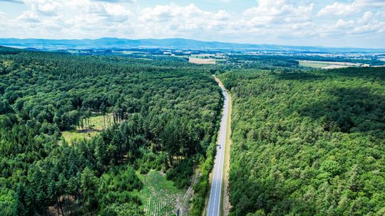 Wakacyjny przewodnik po powiecie dzierżoniowskim – odcinek 2 Dębowa Góra i Staw Trzcinowy w Sieniawce