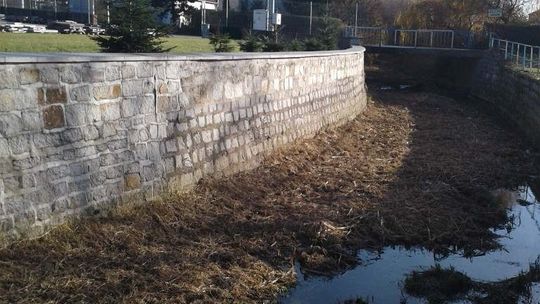 Wały w Nowiźnie przebuduje firma ze Świdnicy