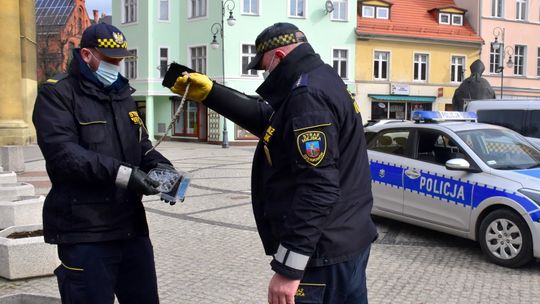 WĄŻ ZNALEZIONY W DZIERŻONIOWIE